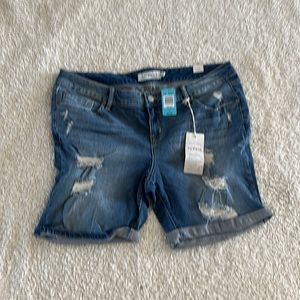 Torrid Jean Shorts